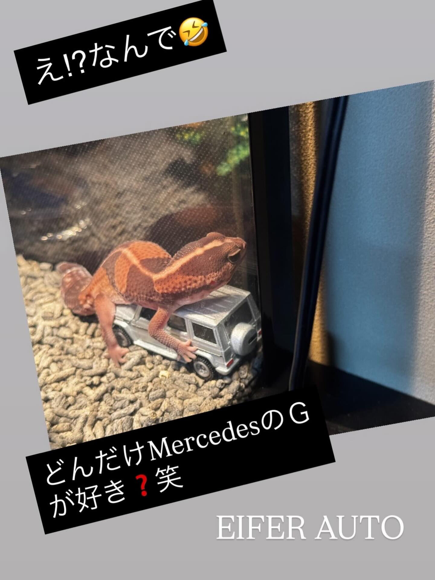 multi_image