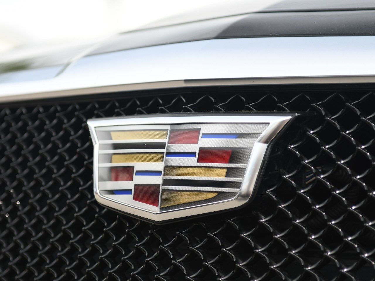 https://www.carsensor.net/shop