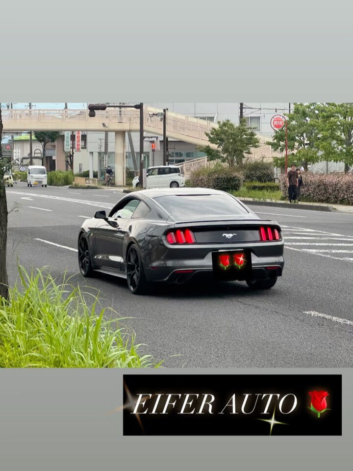 #マスタング